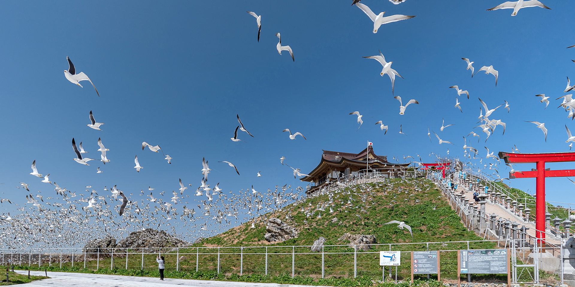 八戸市で新時代の不動産サービスを提供